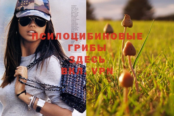 МДПВ Алексин