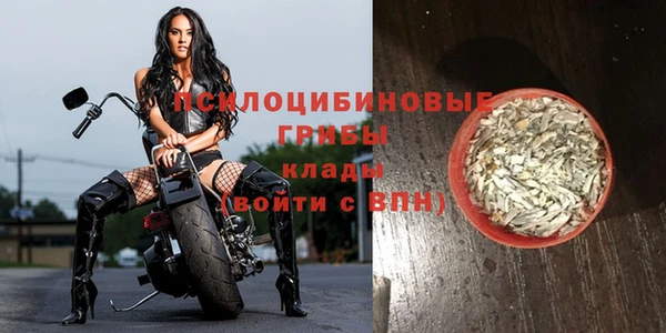 бошки Алзамай