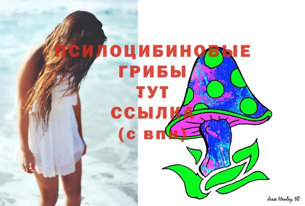 МДПВ Алексин