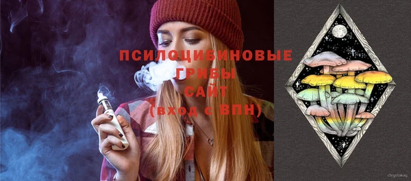 бошки Алзамай