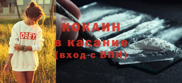 гашик Новозыбков
