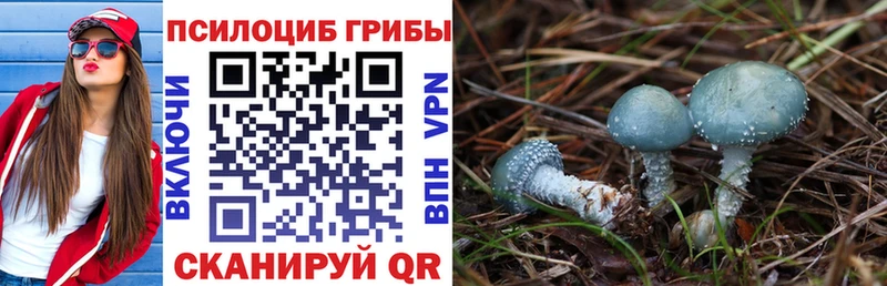 Галлюциногенные грибы Magic Shrooms  как найти закладки  Узловая 