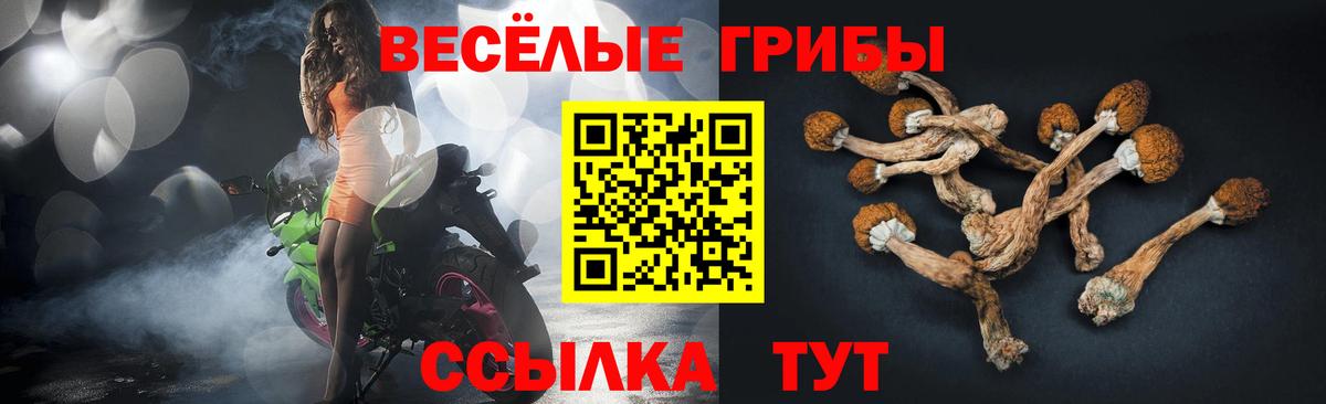 Галлюциногенные грибы прущие грибы Узловая