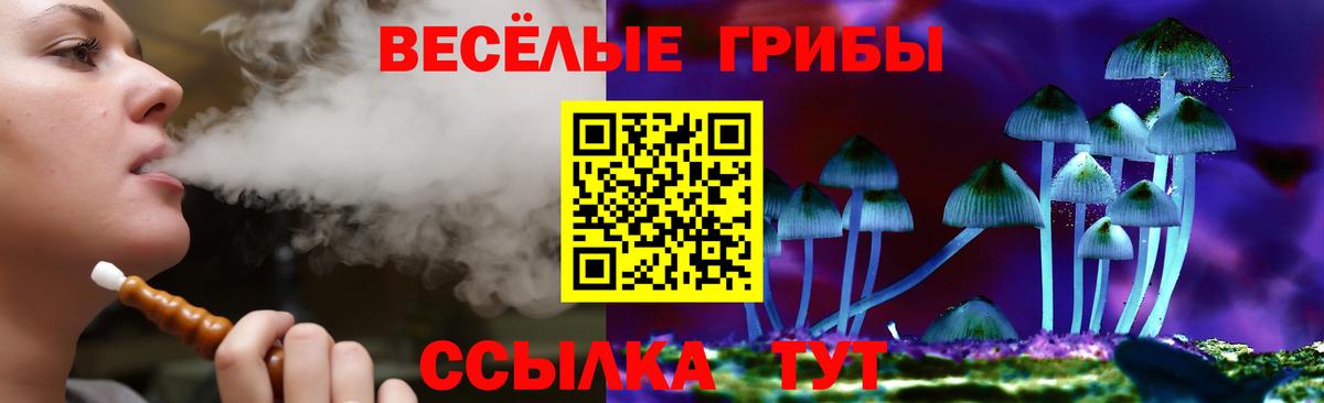 где купить наркоту  Псилоцибиновые грибы MAGIC MUSHROOMS  Вход с VPN  Узловая 